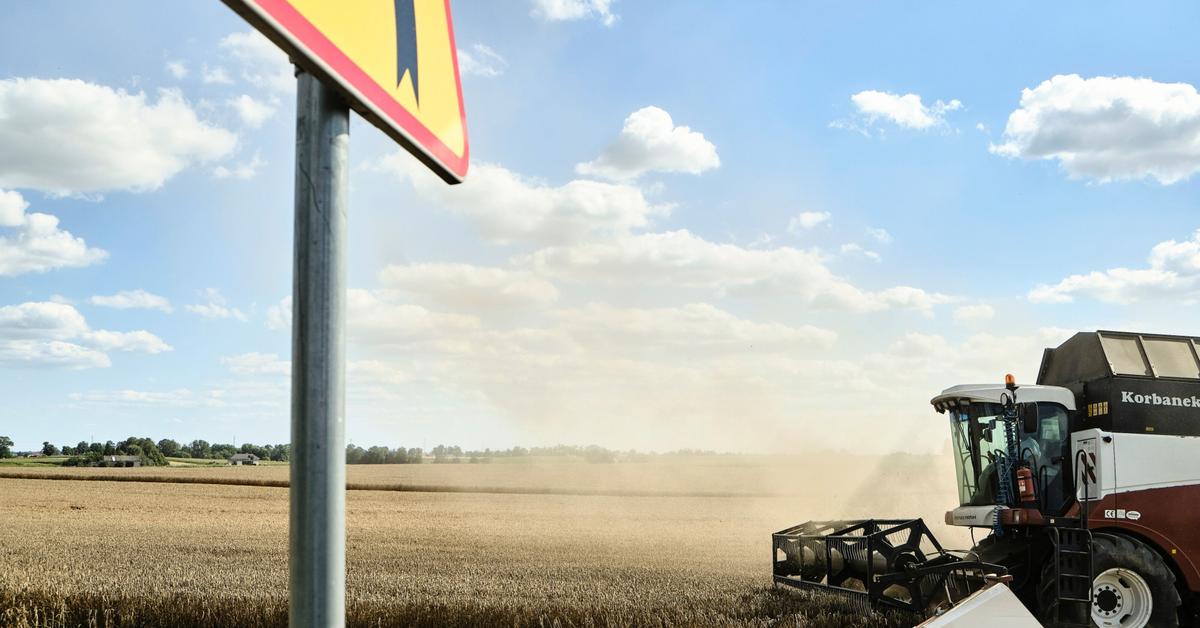 Inflow of goods from Ukraine.  What plans does the Polish government have?