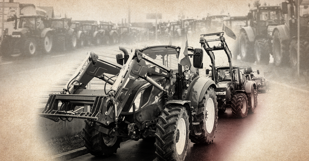 Road paralysis in Poland.  What do the protesting farmers demand?  We explain