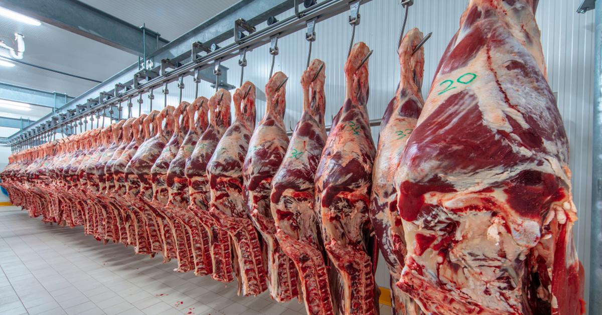 How does the global meat industry spread disinformation?  (REPORT)
