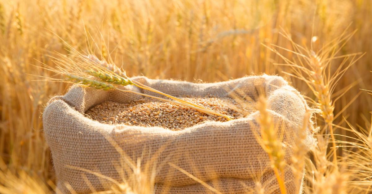 Food exporters have reason to be happy