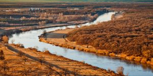 Golden algae again threatens life in the Odra River.  MKiŚ issued a warning