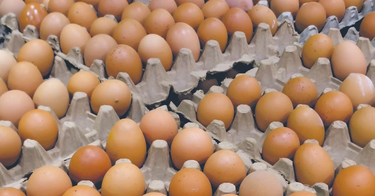 Egg price increase on the horizon. Significant increase is coming