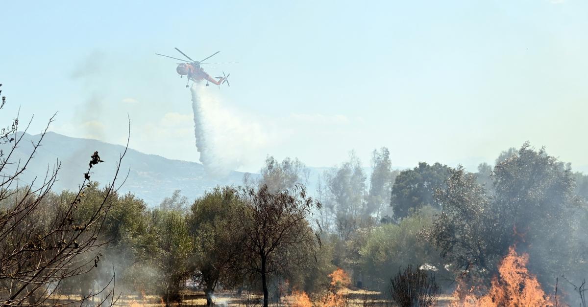 The tragic consequences of a hot summer. Greece fights fires