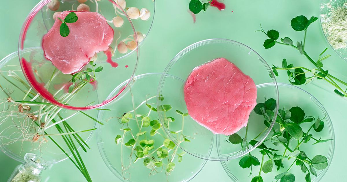 Will We Feed Dogs Artificial Meat? This Company Received a Huge Grant to Develop Technology