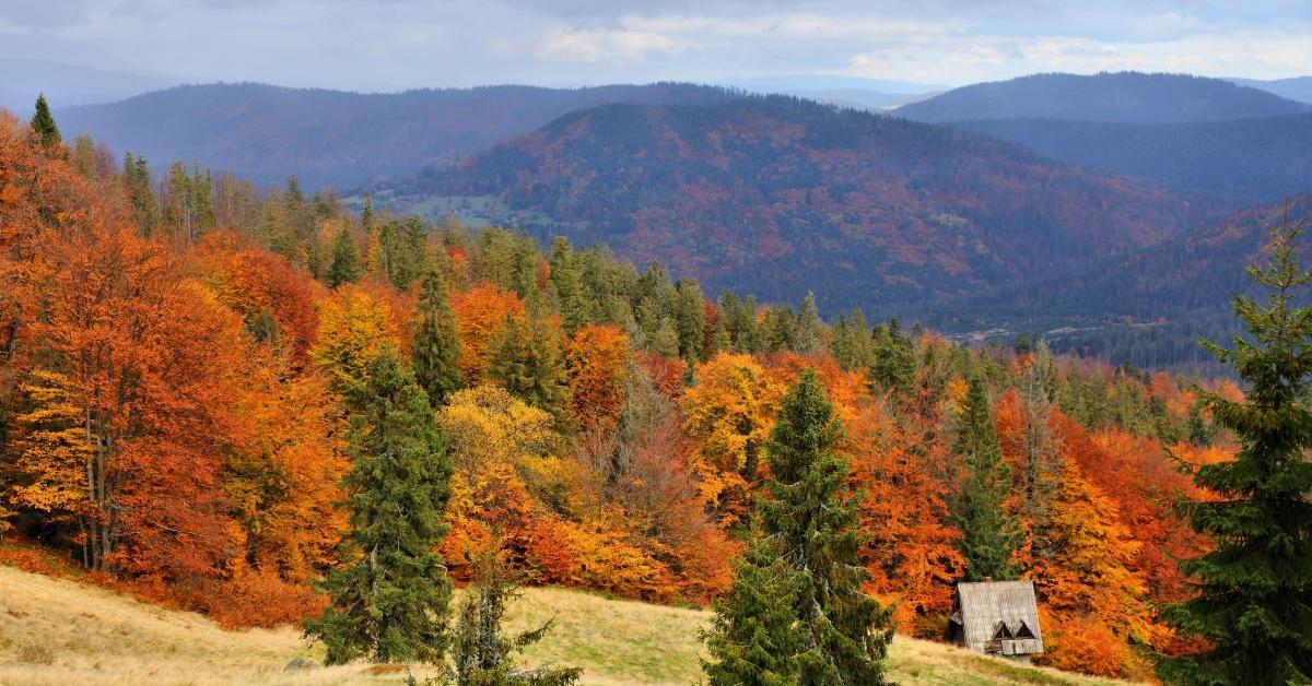 UJ: 19th-century military maps proved to be an invaluable source of information about valuable natural areas of the Carpathians