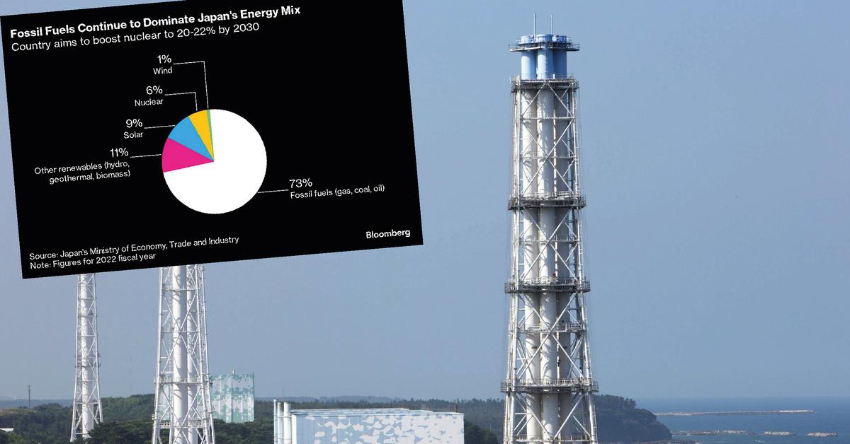 Nuclear alliance of politicians. Nuclear disaster-stricken country needs more nuclear energy