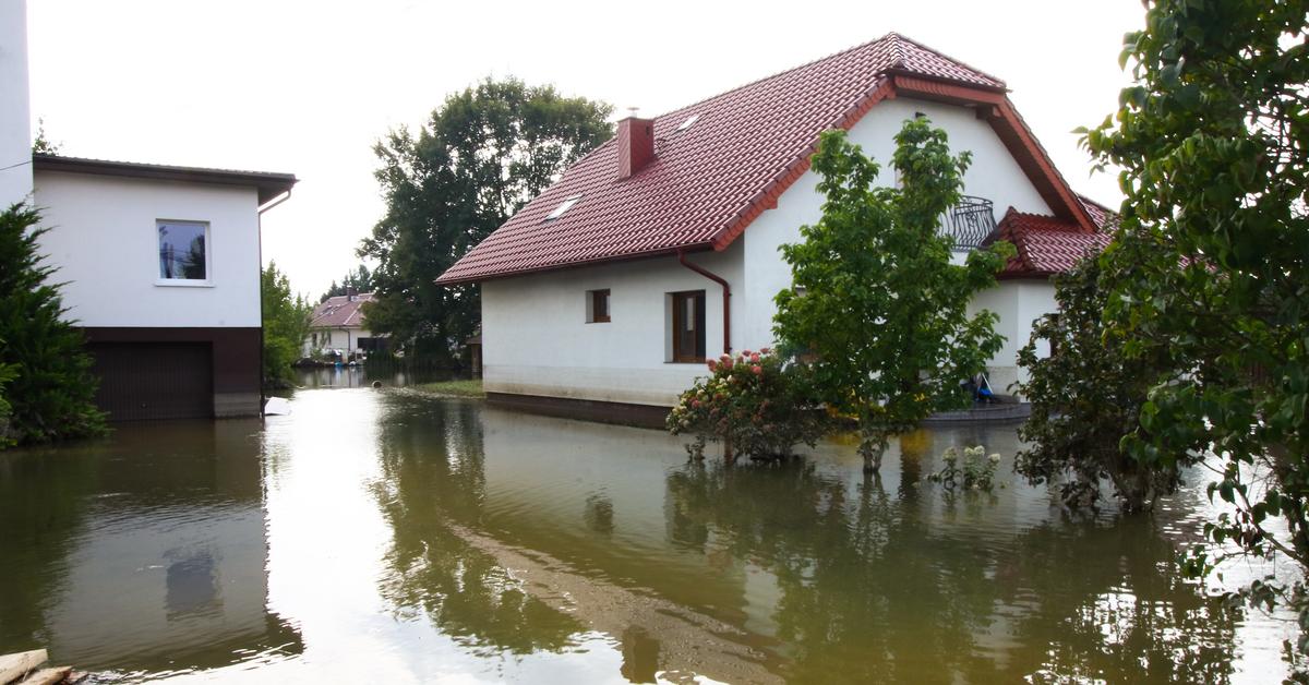 Speculators want to make money on floods. Rapid increase in prices of food, water and rubber boots