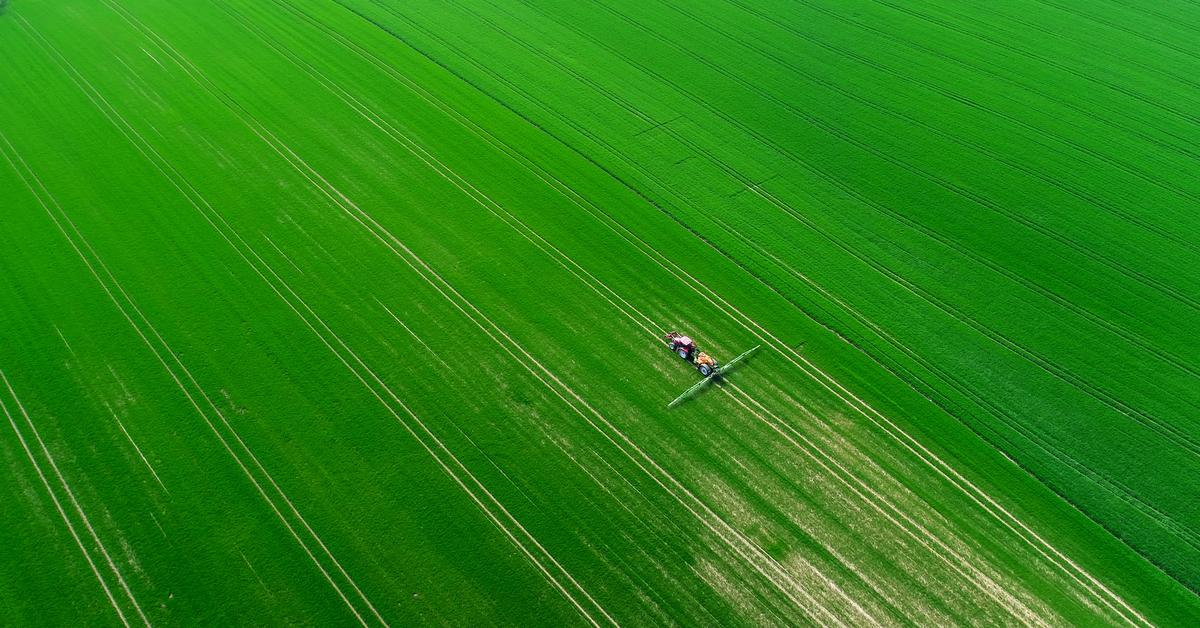 When will the end of GMO feed? We will wait for the ban, the Sejm has made a decision
