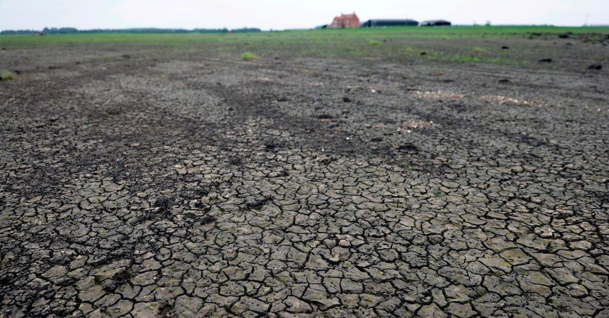 Food price increases are inevitable. Extreme weather changes reduce production of coffee, grains and sugar