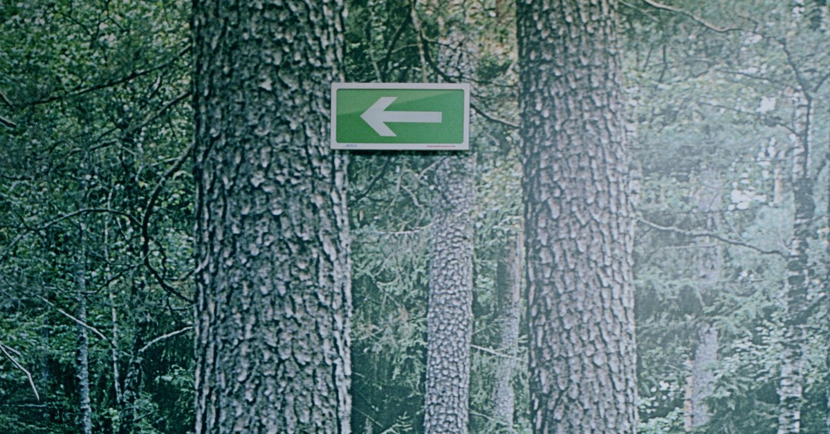 Plant migration, or the surprising impact of humans on forest ecosystems in Europe