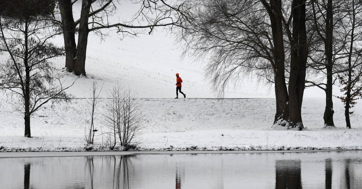 That's for sure. The coming winter will be colder than last year
