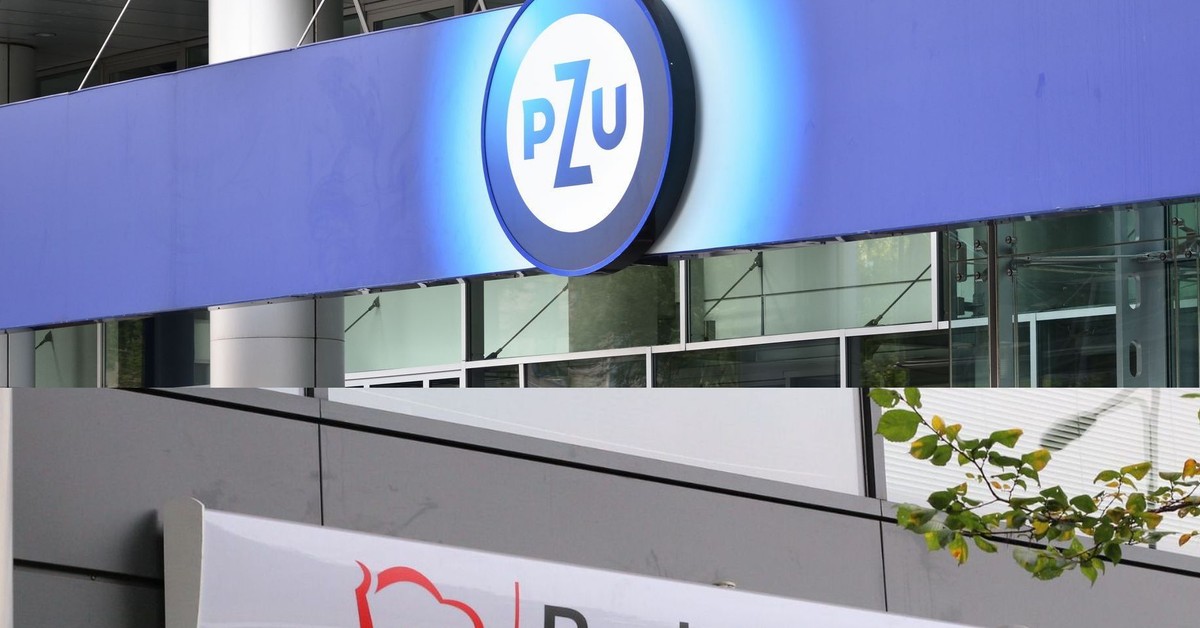 Fusion of PZU and Pekao. Poland will create a financial giant. Expert: He will count on European markets